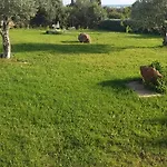فندق مبيت وإفطار Gli Ulivi SantʼAnna Arresi