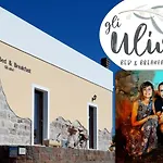 Gli Ulivi SantʼAnna Arresi
