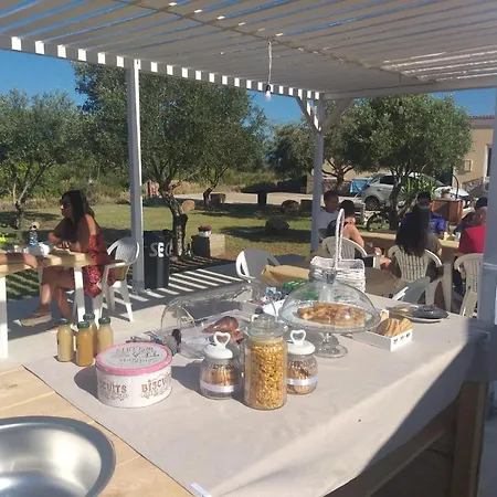 Gli Ulivi SantʼAnna Arresi