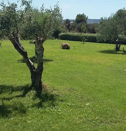 Gli Ulivi SantʼAnna Arresi