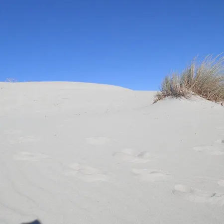 Gli Ulivi Nocleg ze śniadaniem 3*