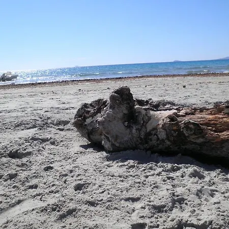 Gli Ulivi SantʼAnna Arresi