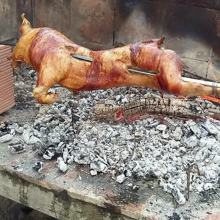 Gli Ulivi Oda ve Kahvaltı SantʼAnna Arresi